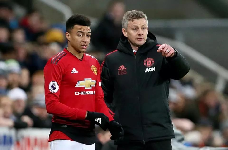 反应速度和 反应速度和